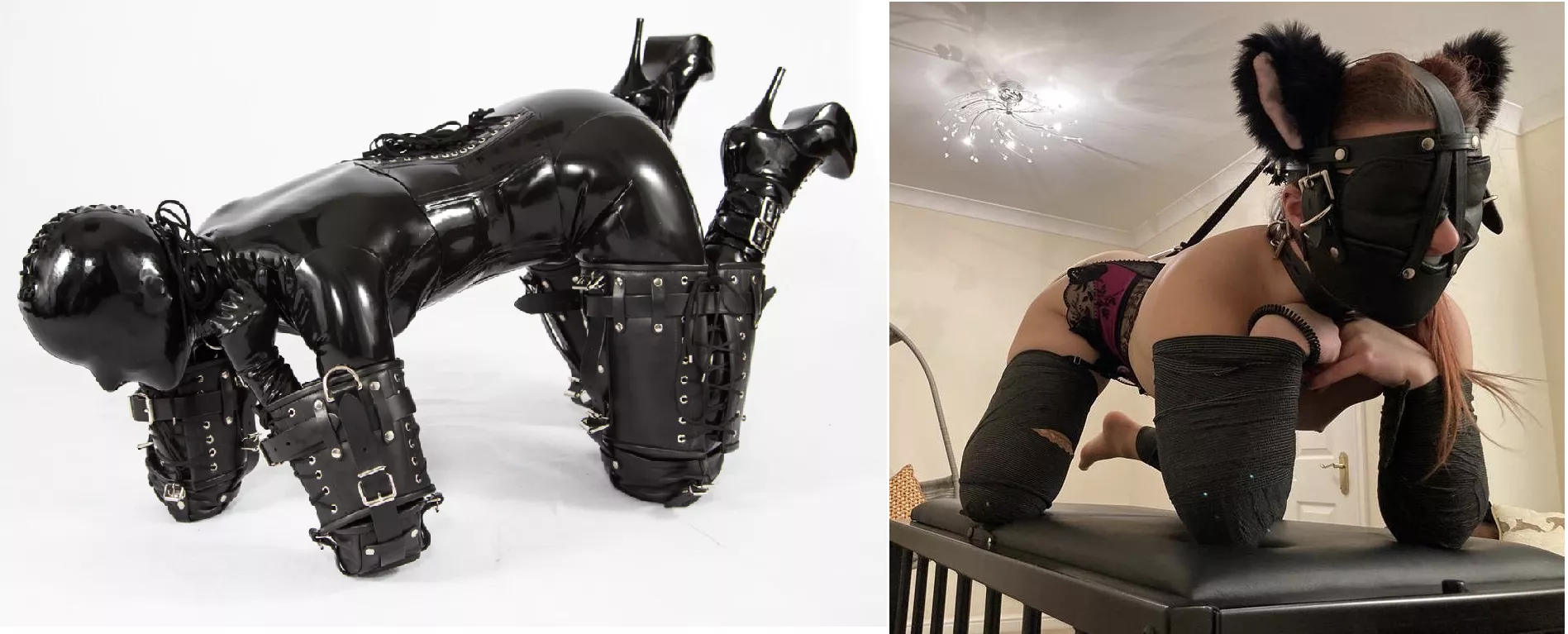 Professionell or selfmade bitchsuit? posted by Quiet-Mind-5106