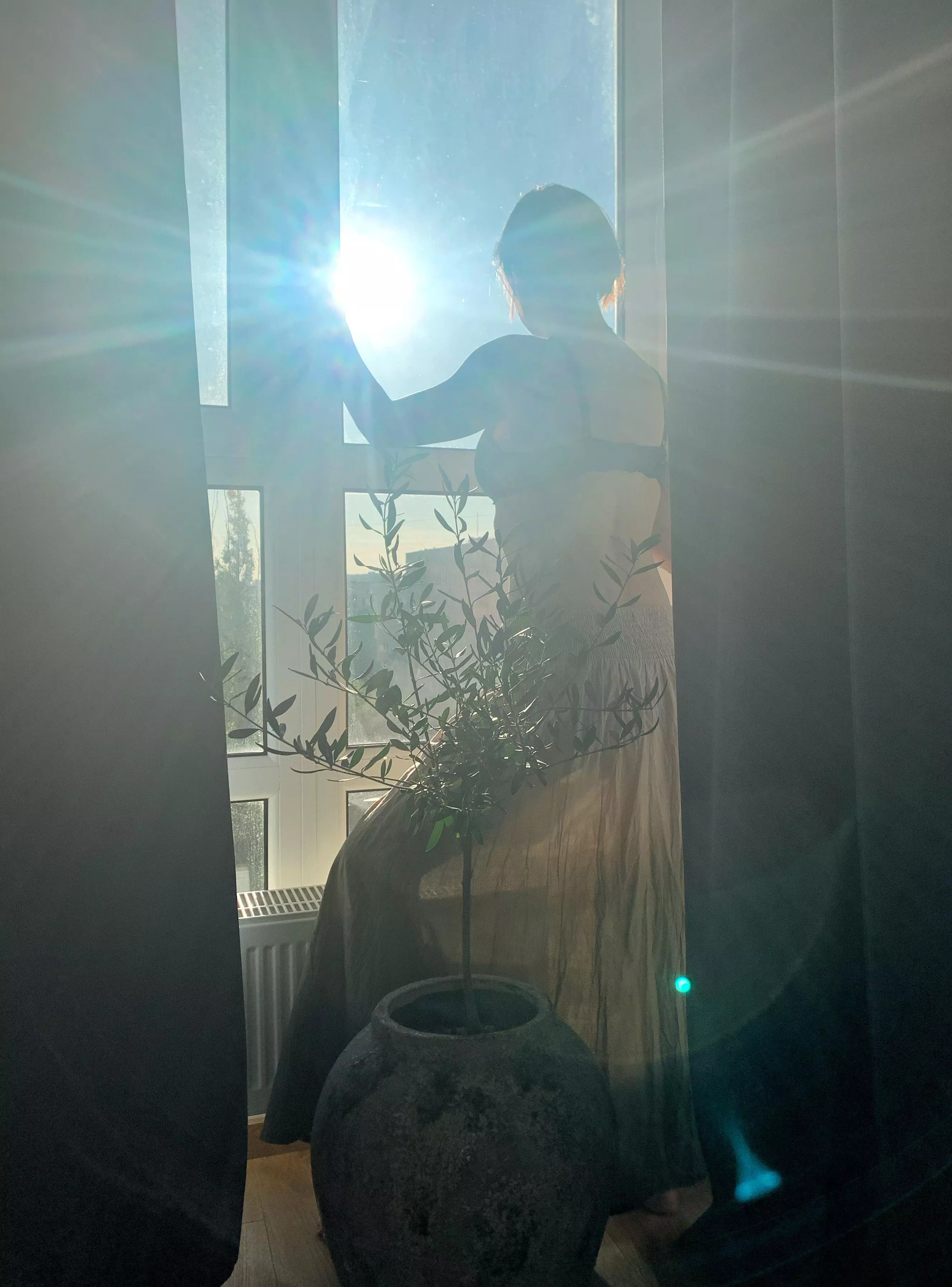 Sun salutation posted by Nerdbird_OF