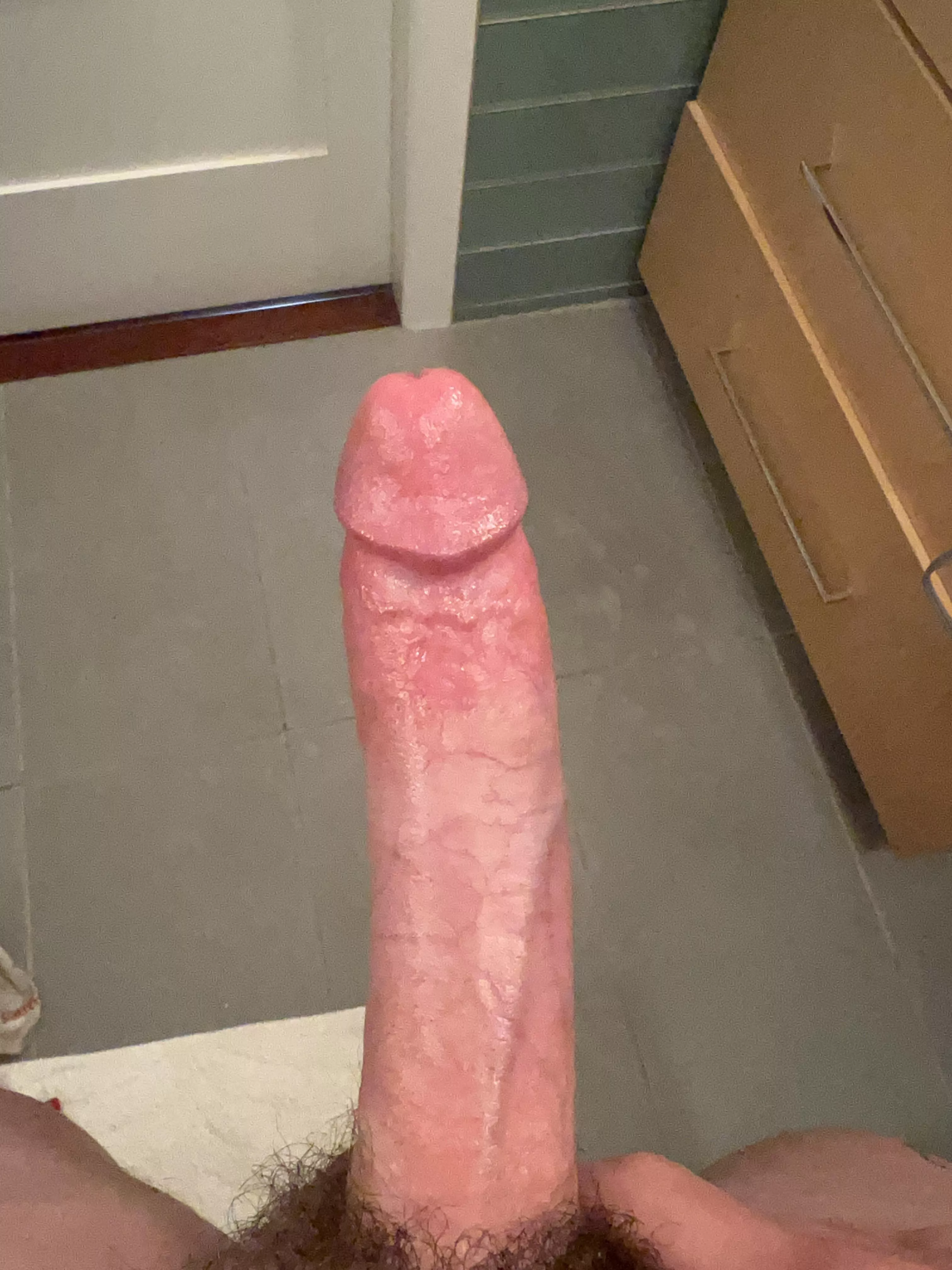 What would you do if I accidentally sent this to you? posted by jibbytombomb