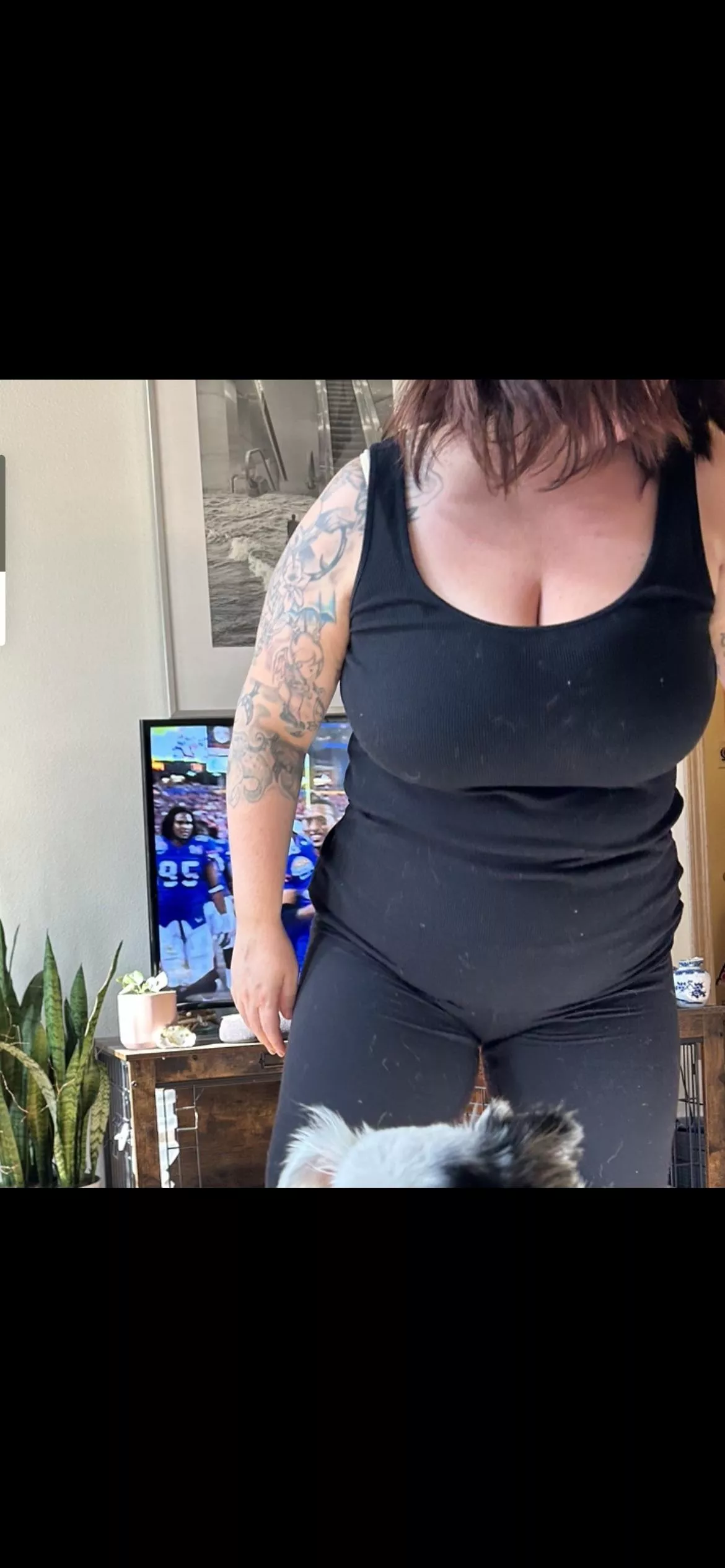 Don’t mind a couple dog hairs on the wife’s clothes. She’s got HUGE tits! 😍😍 posted by OkCrab5058