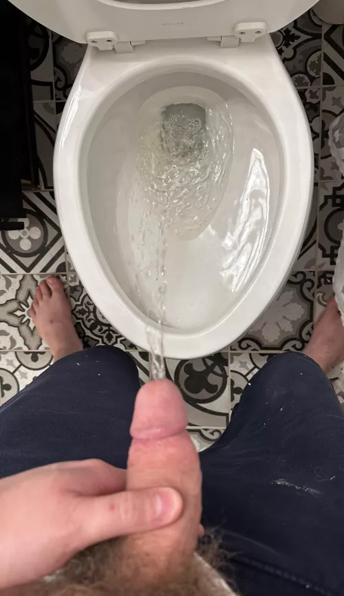 Hard Pissing by Dear_Grapefruit_8220