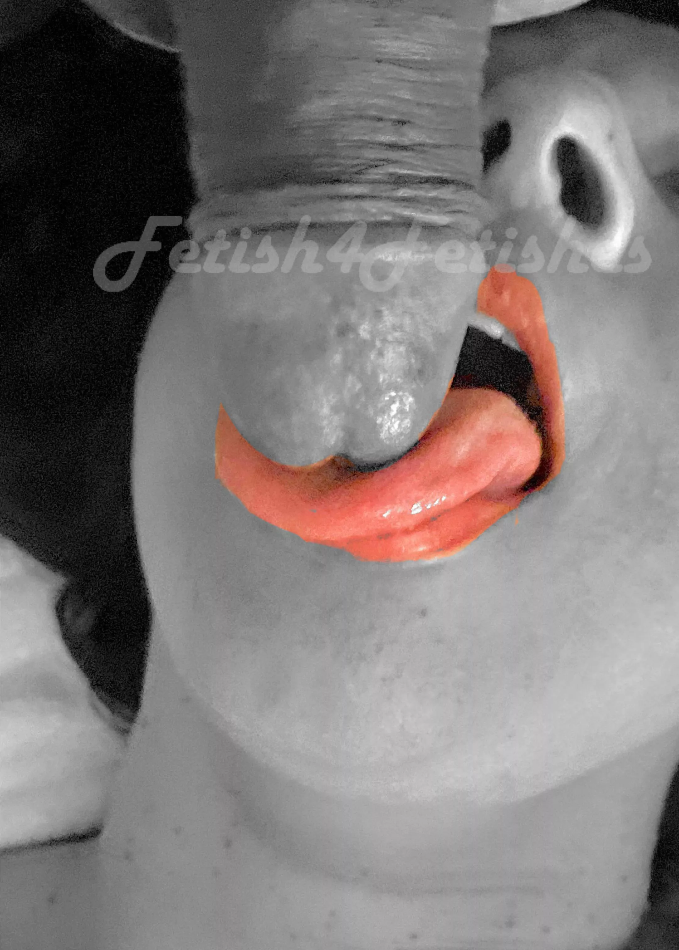 Love her lips posted by Fetish4fetishes