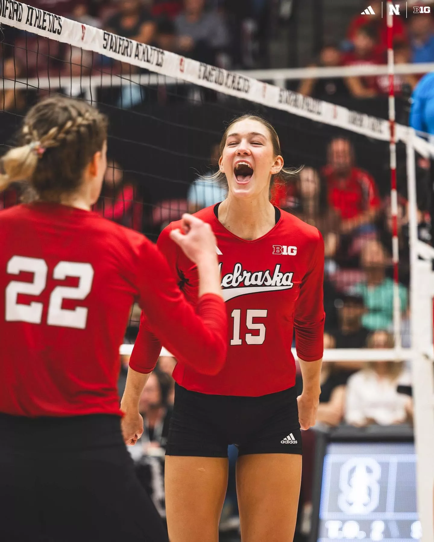 Number 15 posted by thebababooey