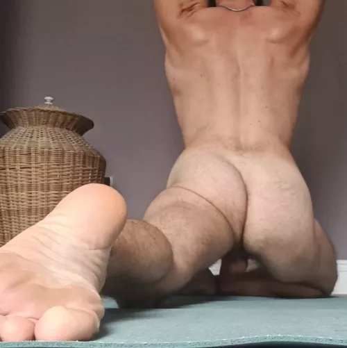 Pigeon vibes ✨ by PoseidonReborn7