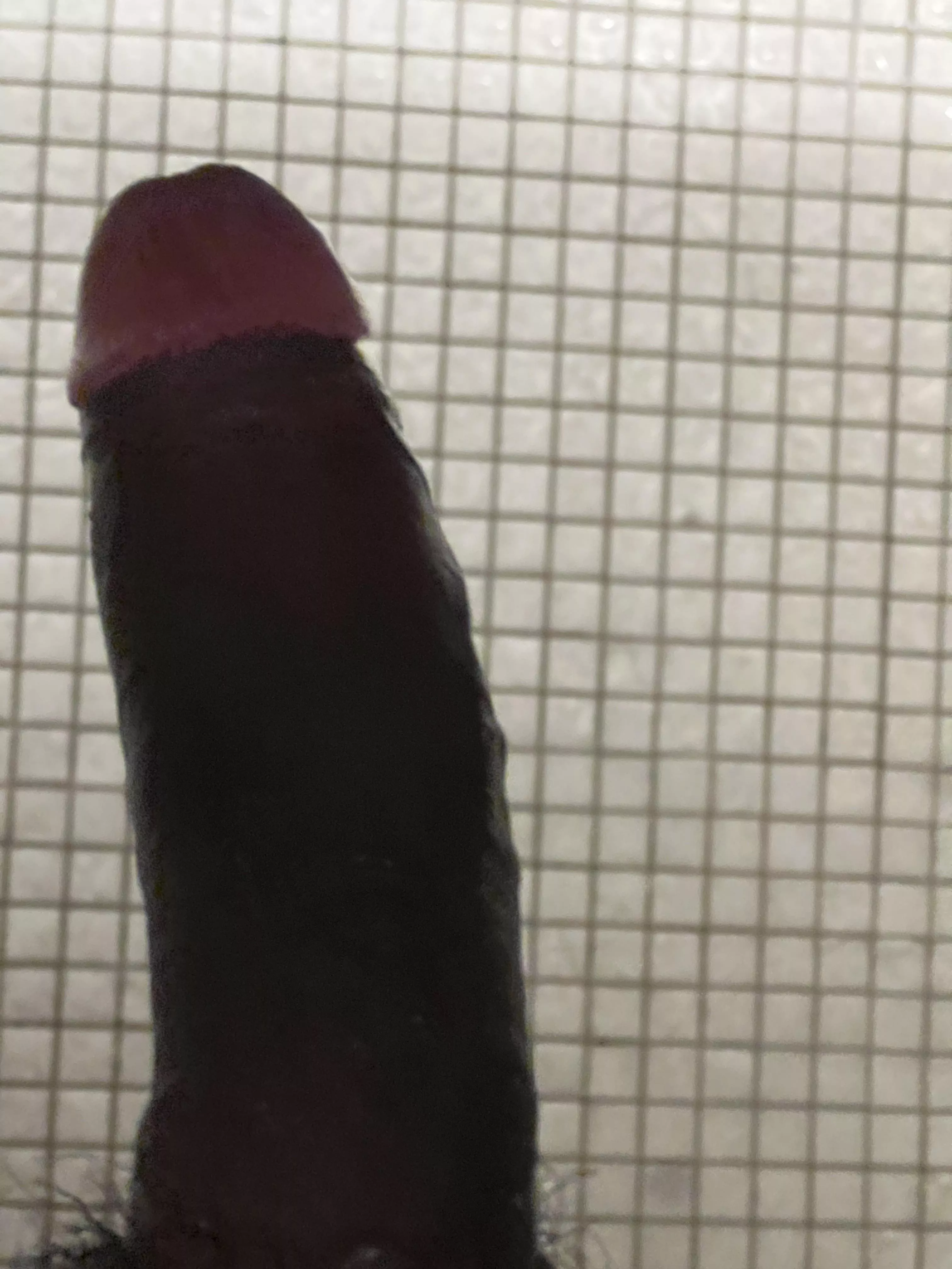 Shower head? posted by Realistic-Hall8095