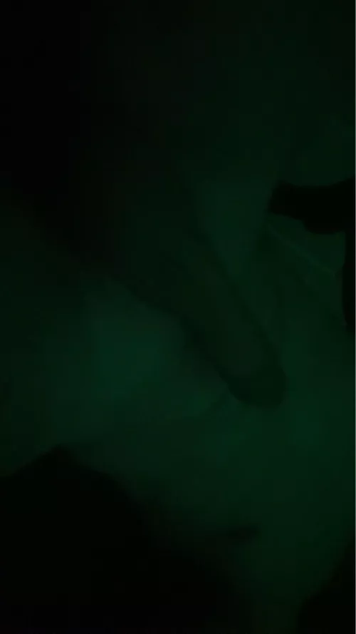 turn up your brightness, you won’t regret it by Excellent_Judge_362