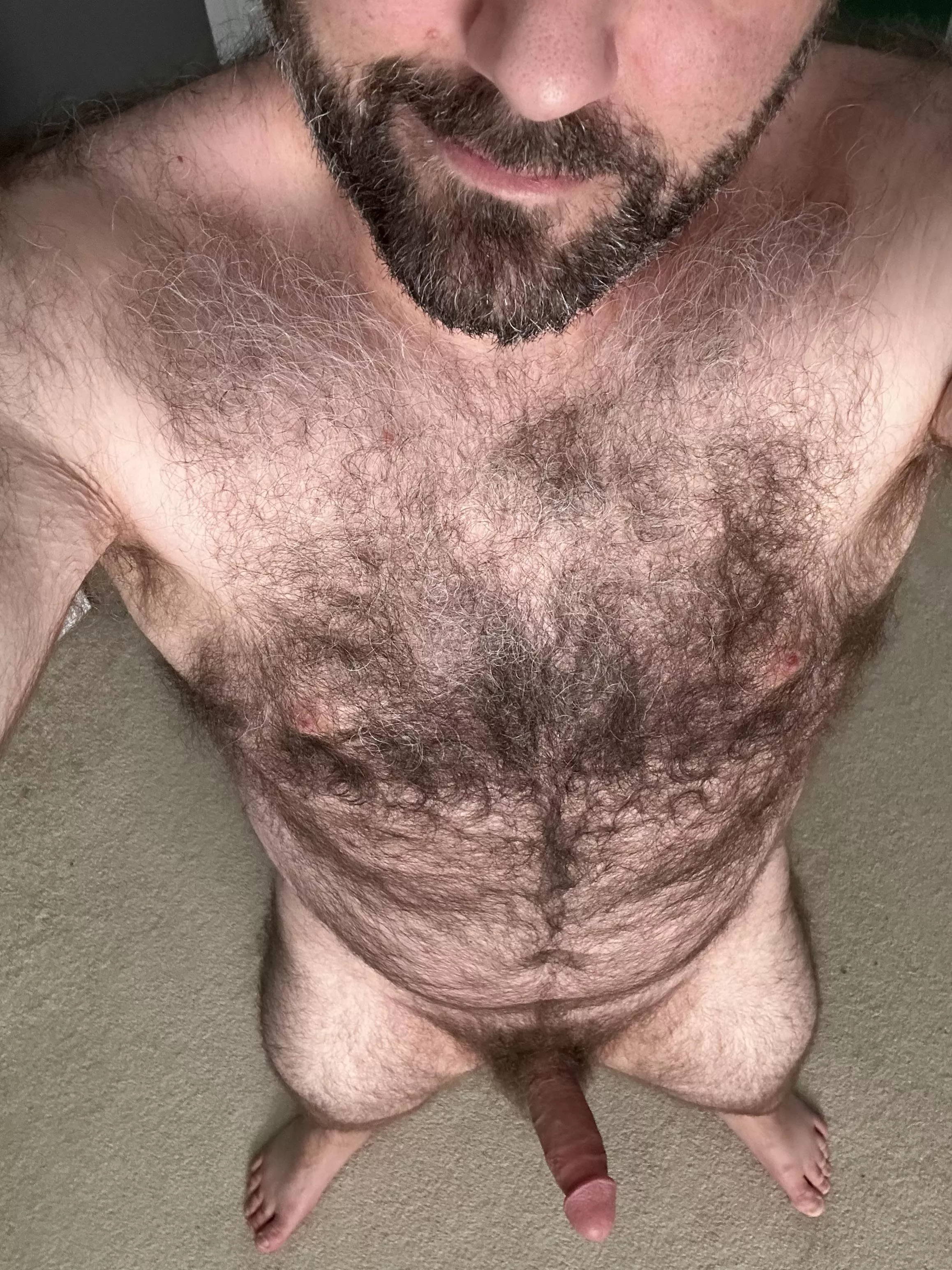 What do you think of a hairy dad bod? [41] posted by Extra-Bobcat-1313