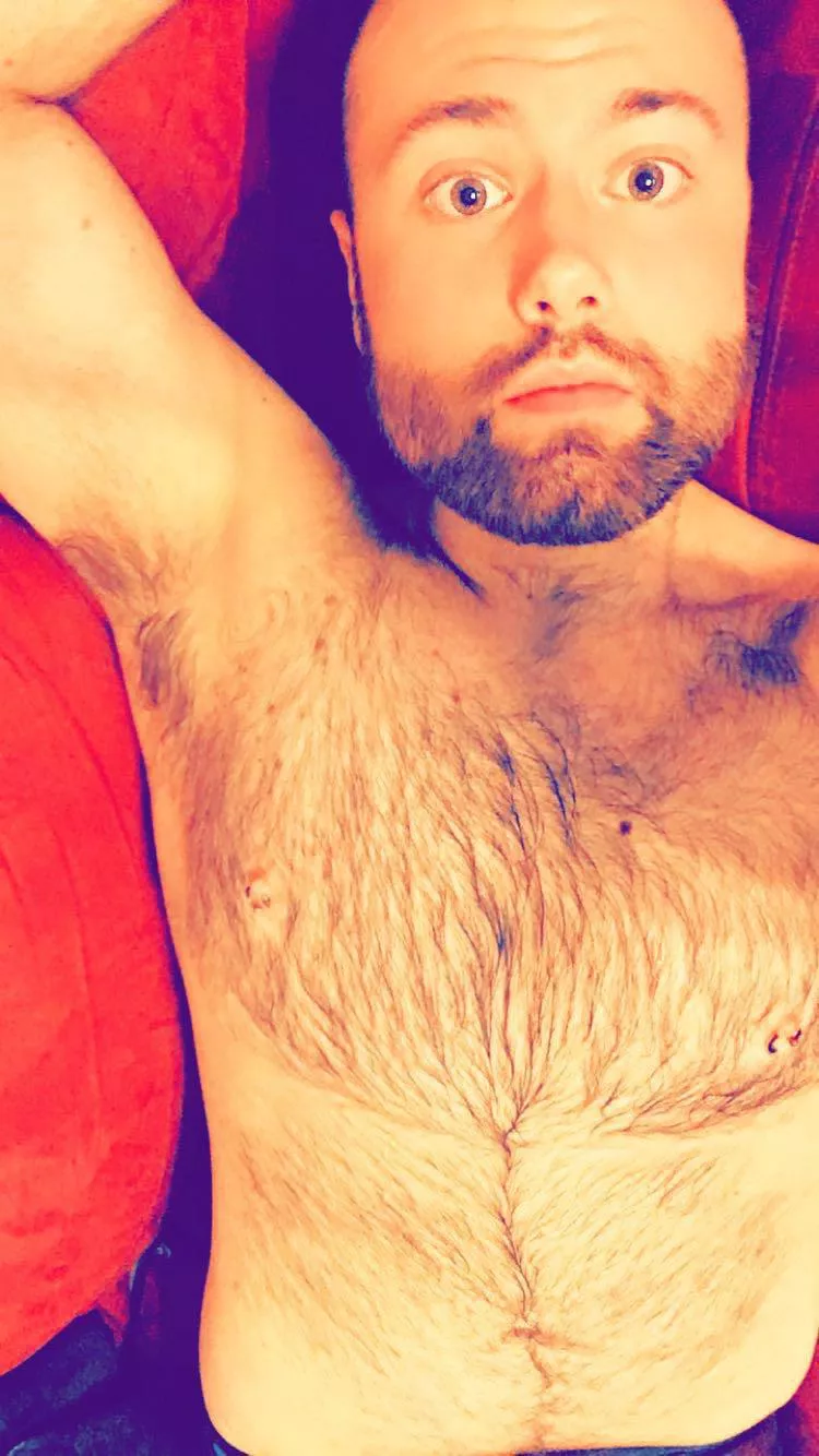 [31] Am I hairy enough? posted by Modrunner640