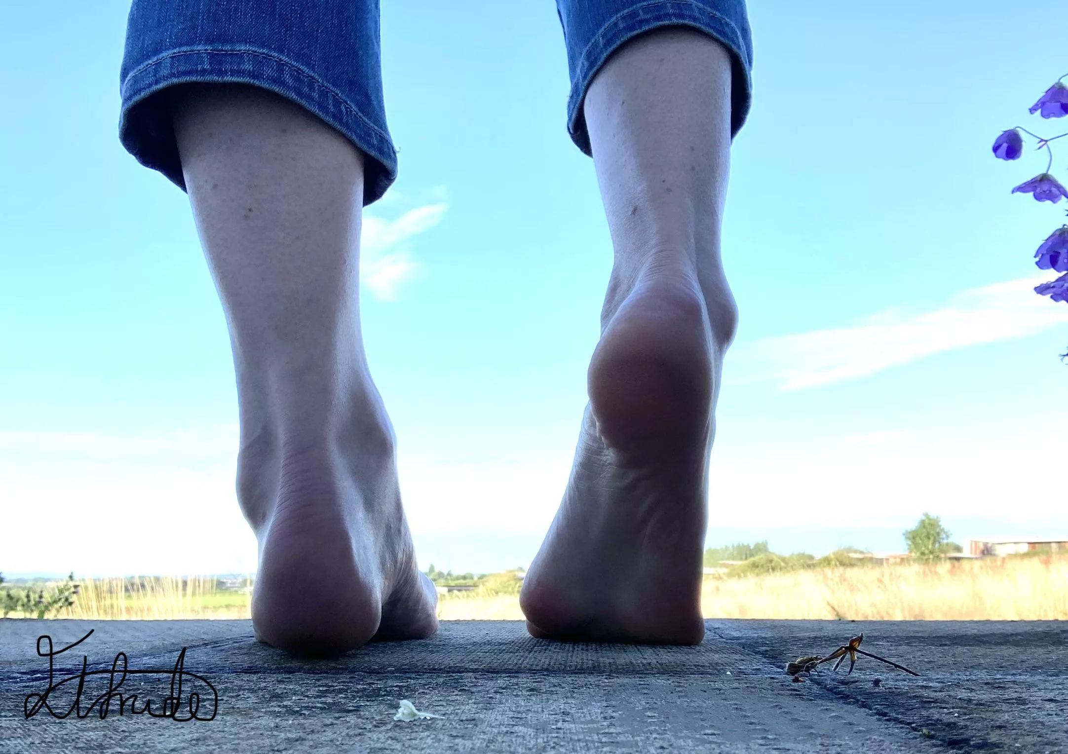 Achilles and ankles, do they catch your eye? posted by Elfrida77