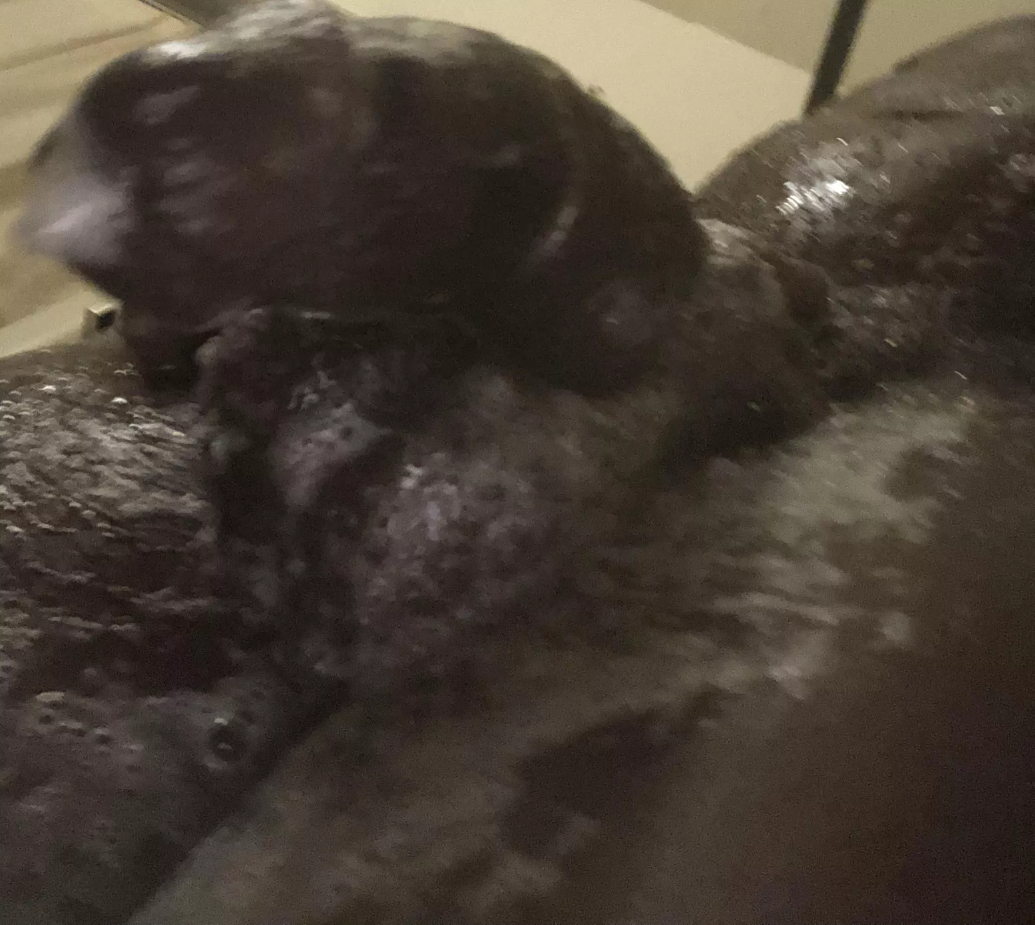 Anyone In Texas? posted by 4329inchBBC