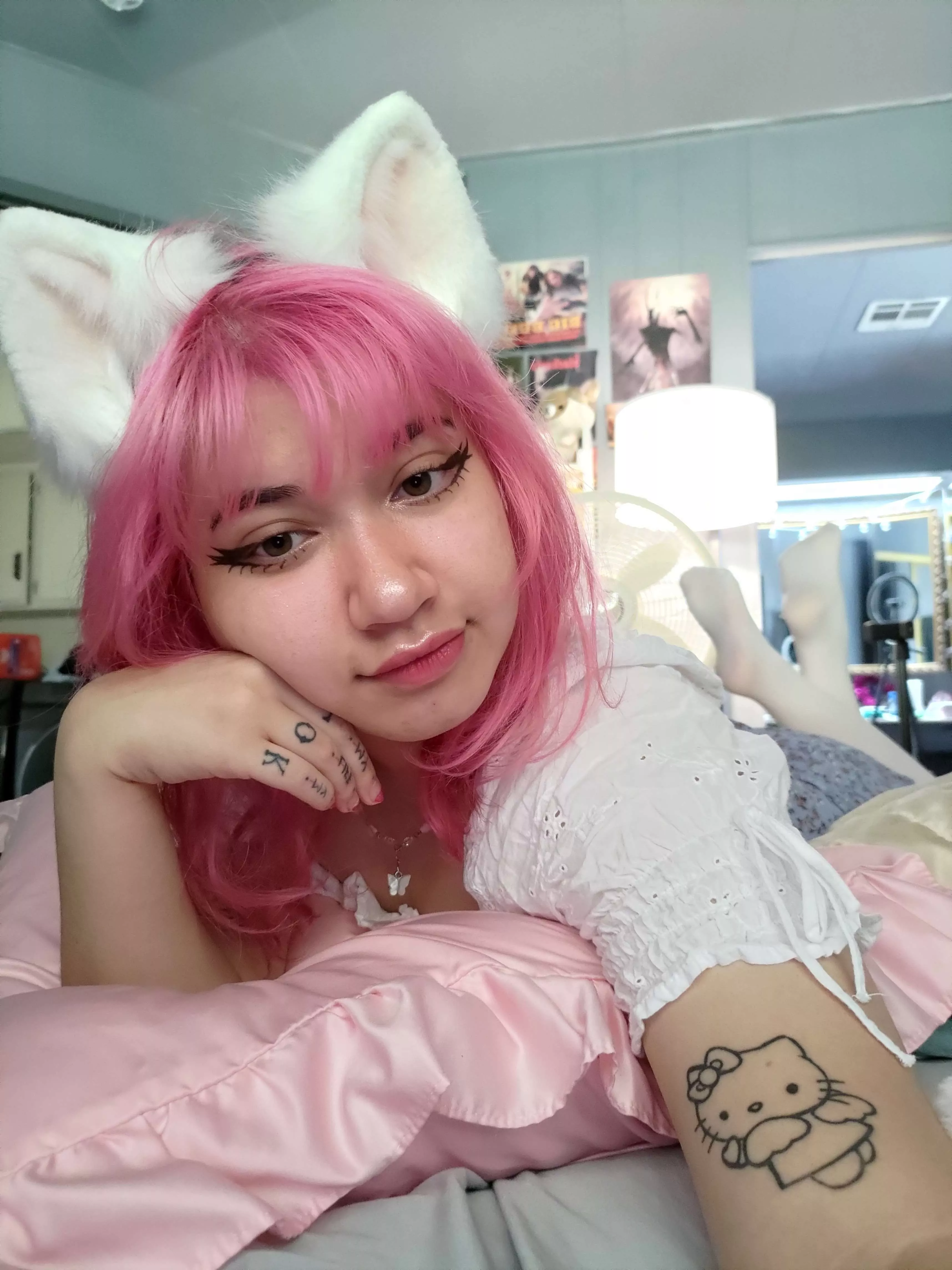 Are you a cat or dog person? 😺 posted by RainbowValentine