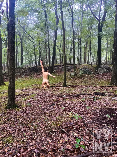 Between every two pines is a doorway to a new world. - John Muir by YangYangNY