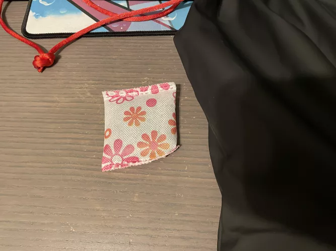 Do I keep this in the bag? by StellarJayyy