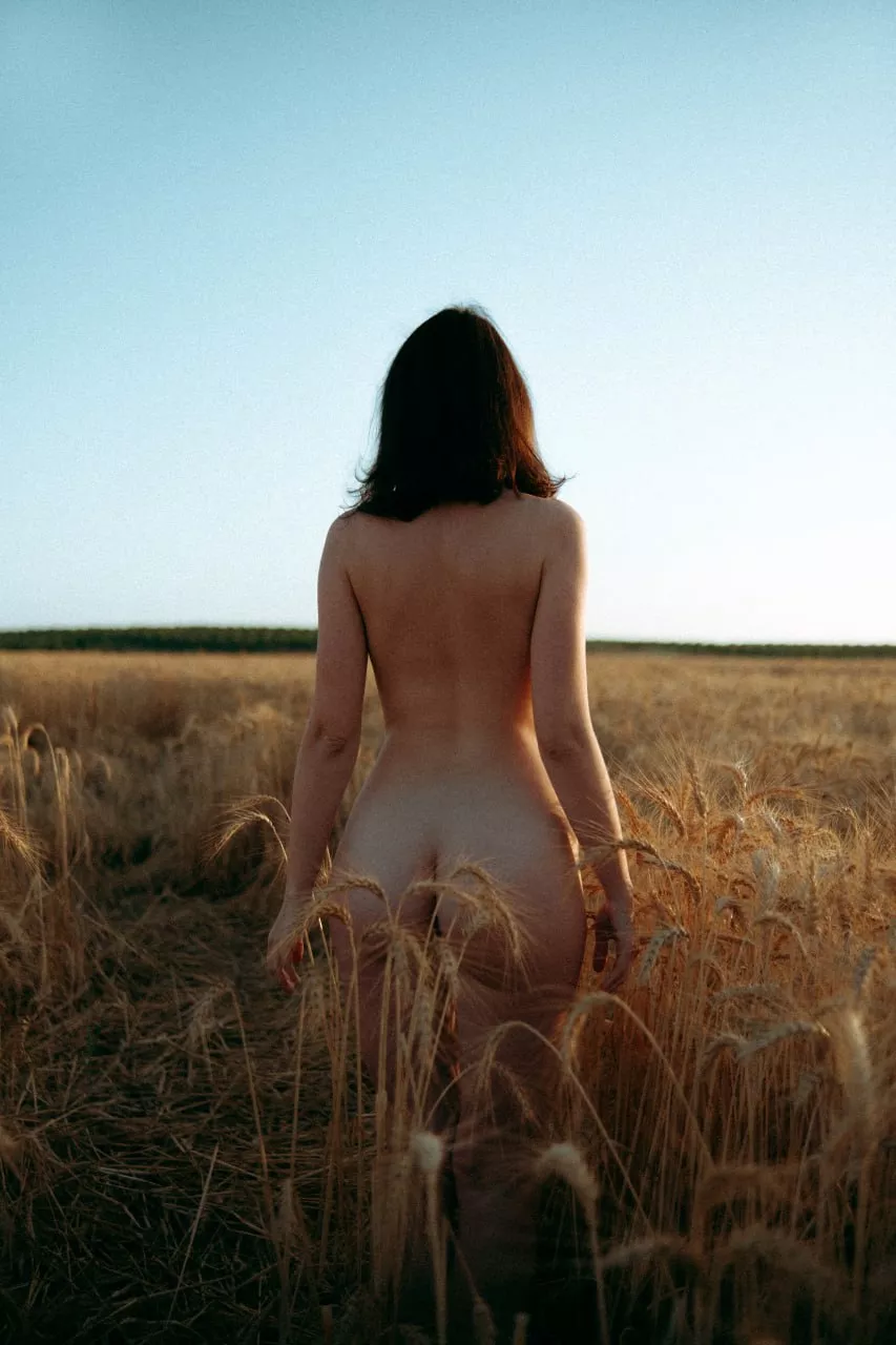 Harvest time posted by PityCatHabbits