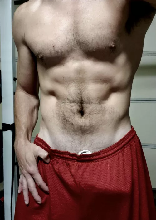 ... just a normal morning in the garage gym... by sorta_round_3