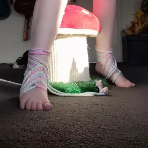 shrooms n feet on a friday posted by -lilnissa