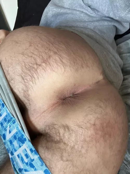 who likes hairy cheeks? by succ-my-ass