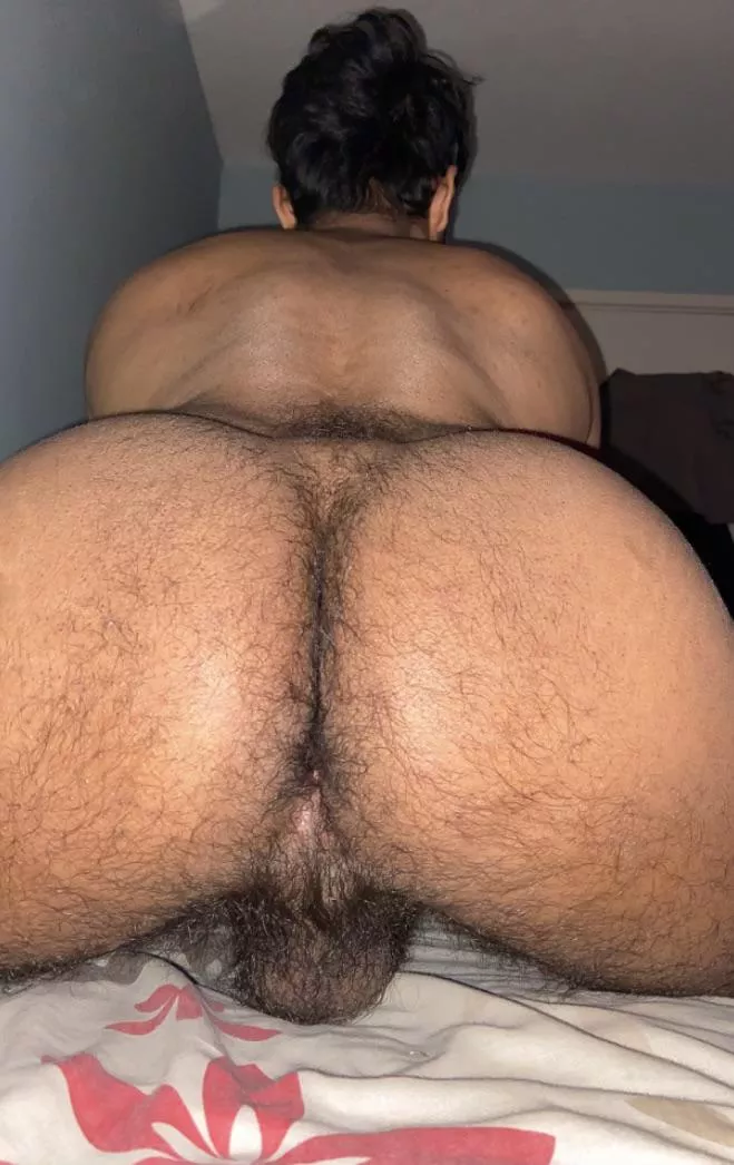 Y’all into hairy brown cheeks? posted by NarwhalEmergency476