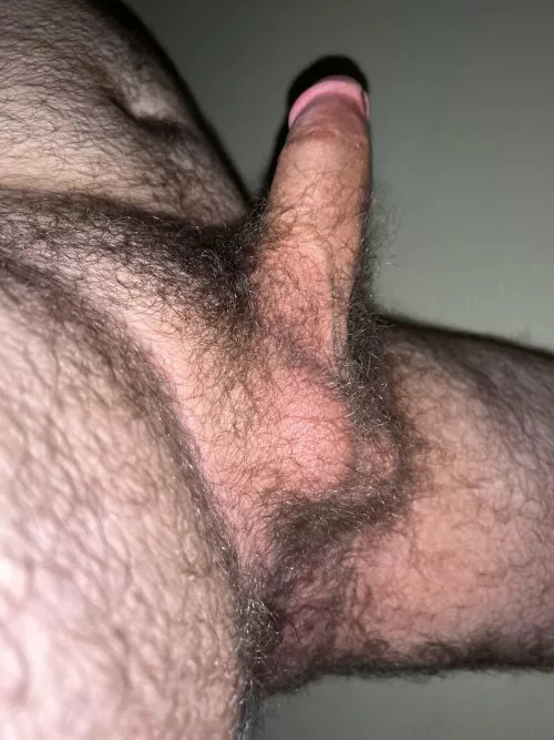 20, looking for bottoms or dudes to jack with. Hmu if you like hairy average dudes. Sc:b_jjbs by b_jjbs567