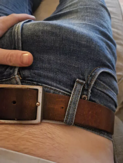 Fell asleep on the sofa, when I woke up he was eager to play, should I let him out? by transiberianhuskey