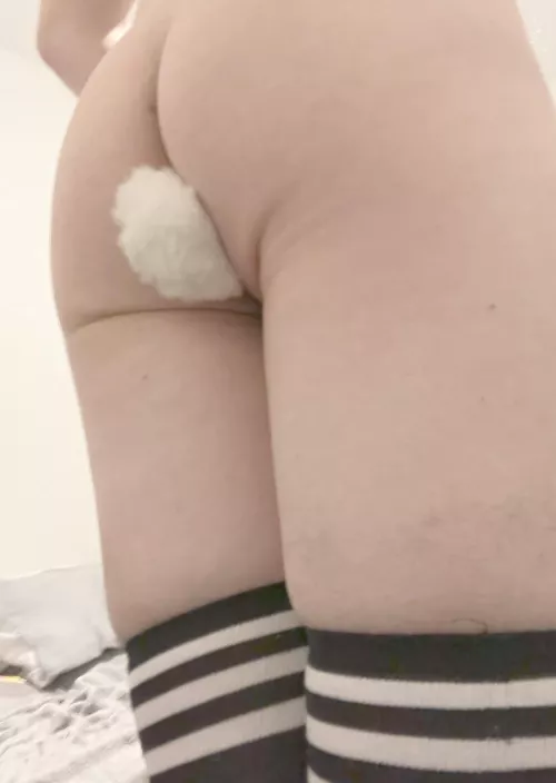 Hop hop by BabyGirlJasmine1