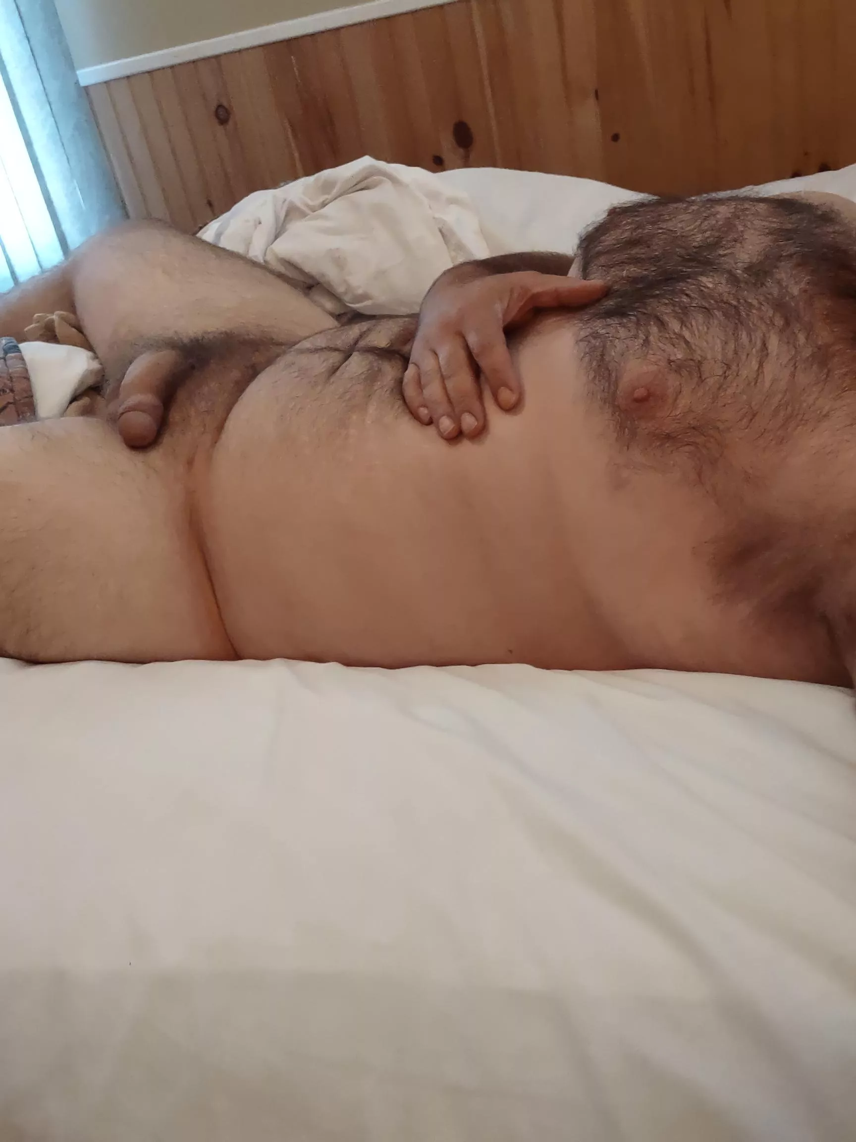 I make a nice pillow :) posted by captainhero83