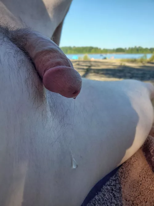 Nude beach precumming by NetflixQ4