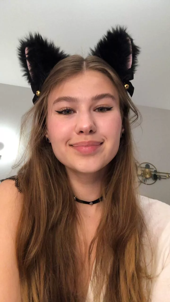 Purr meow, that cute cat looks like you haven't fed her your cream in a while posted by WantonlyEmbroil