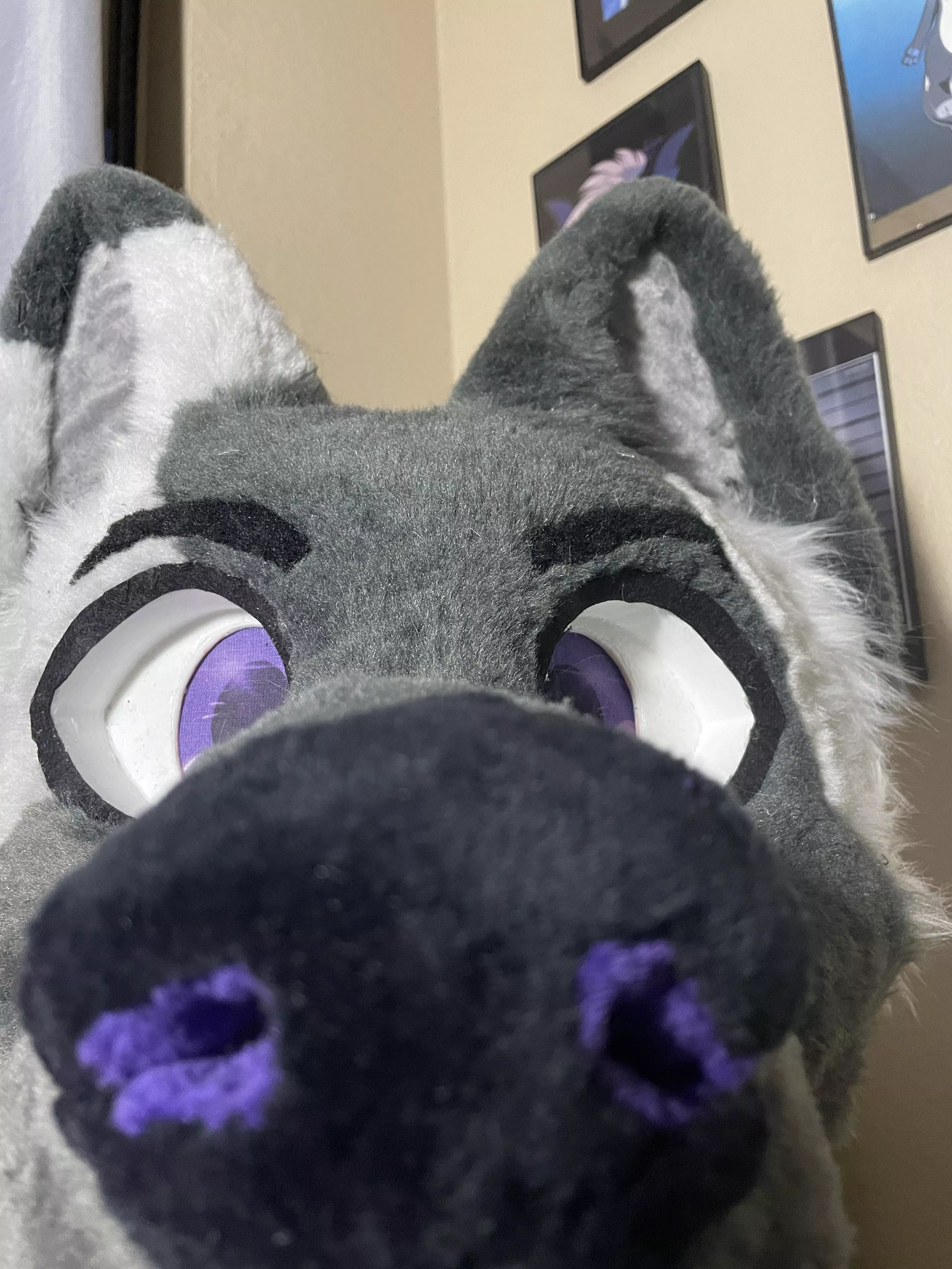 *sniff* checking ya vibes posted by WonderwallisGoodokay