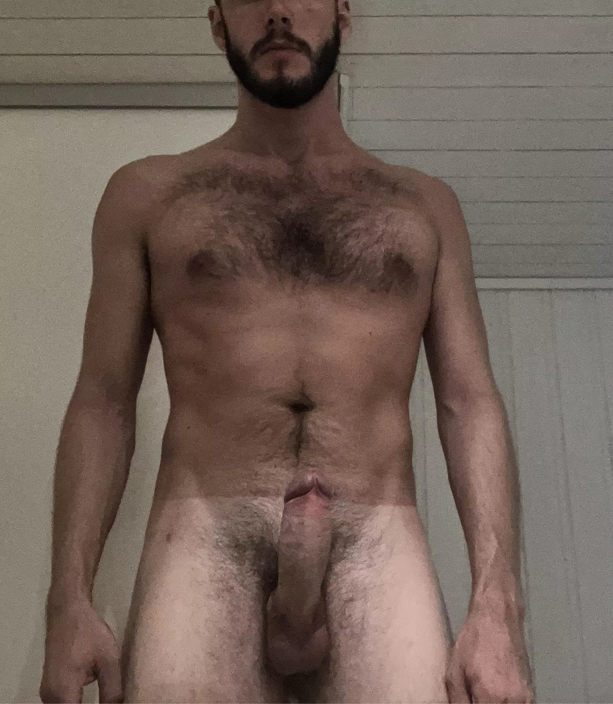 What do you like best? My beard or my boner? posted by oldnewshit