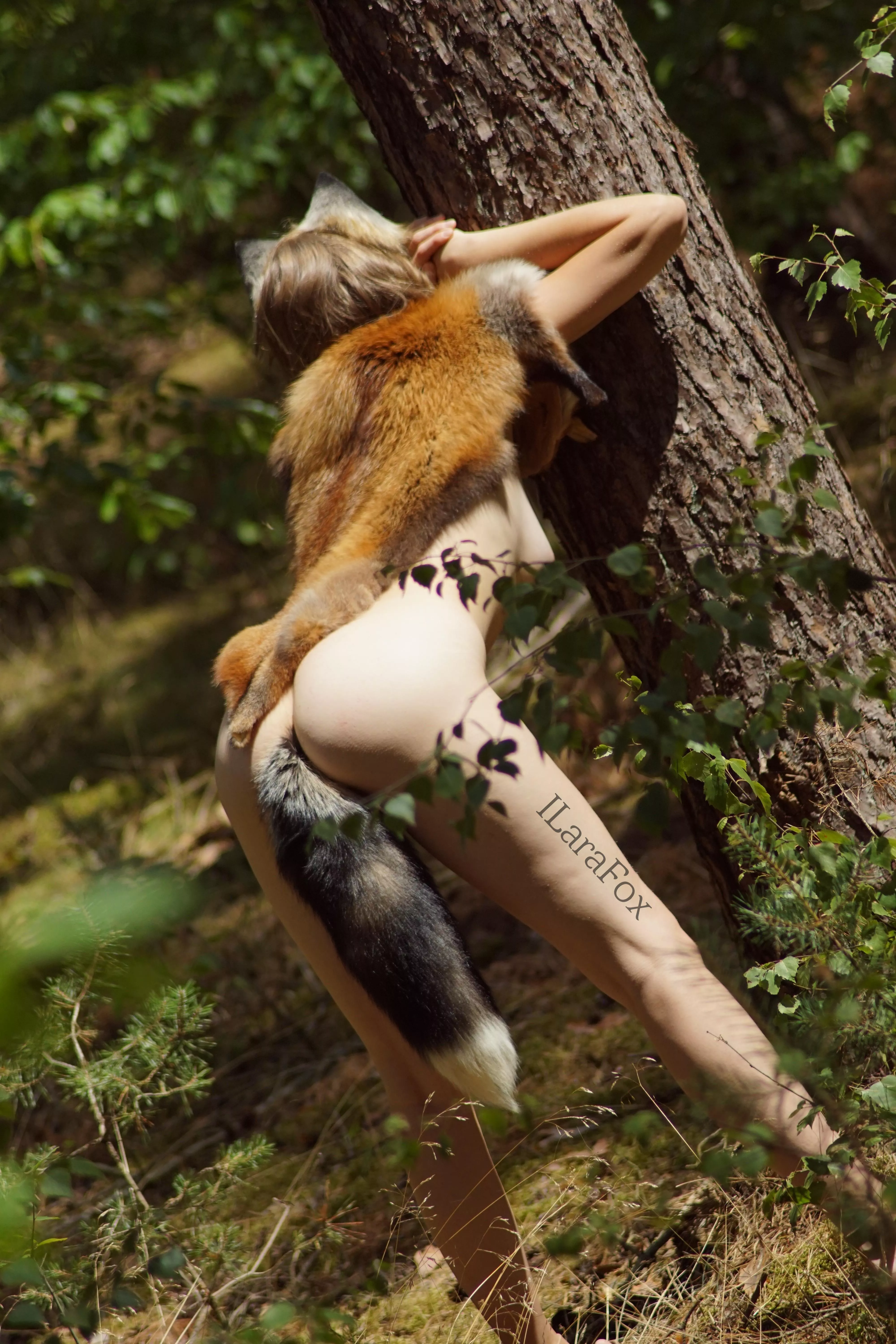 You need to bring your tail outside from time to time posted by ILaraFox