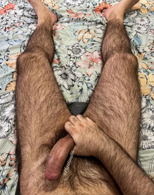 A thick and hairy daddy cock for a good boy, anyone? by Plauto1986