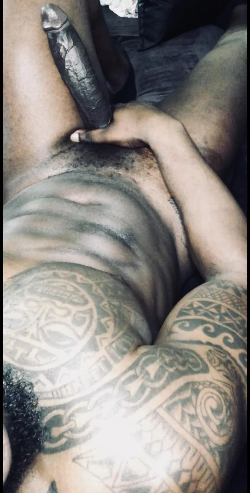 Come play with a Bull instead posted by YouPayMrGoodbar