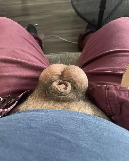 dude don’t laugh he’s just shy by jccubb