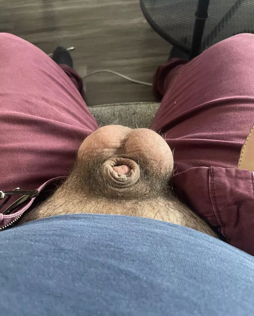 dude don’t laugh he’s just shy posted by jccubb