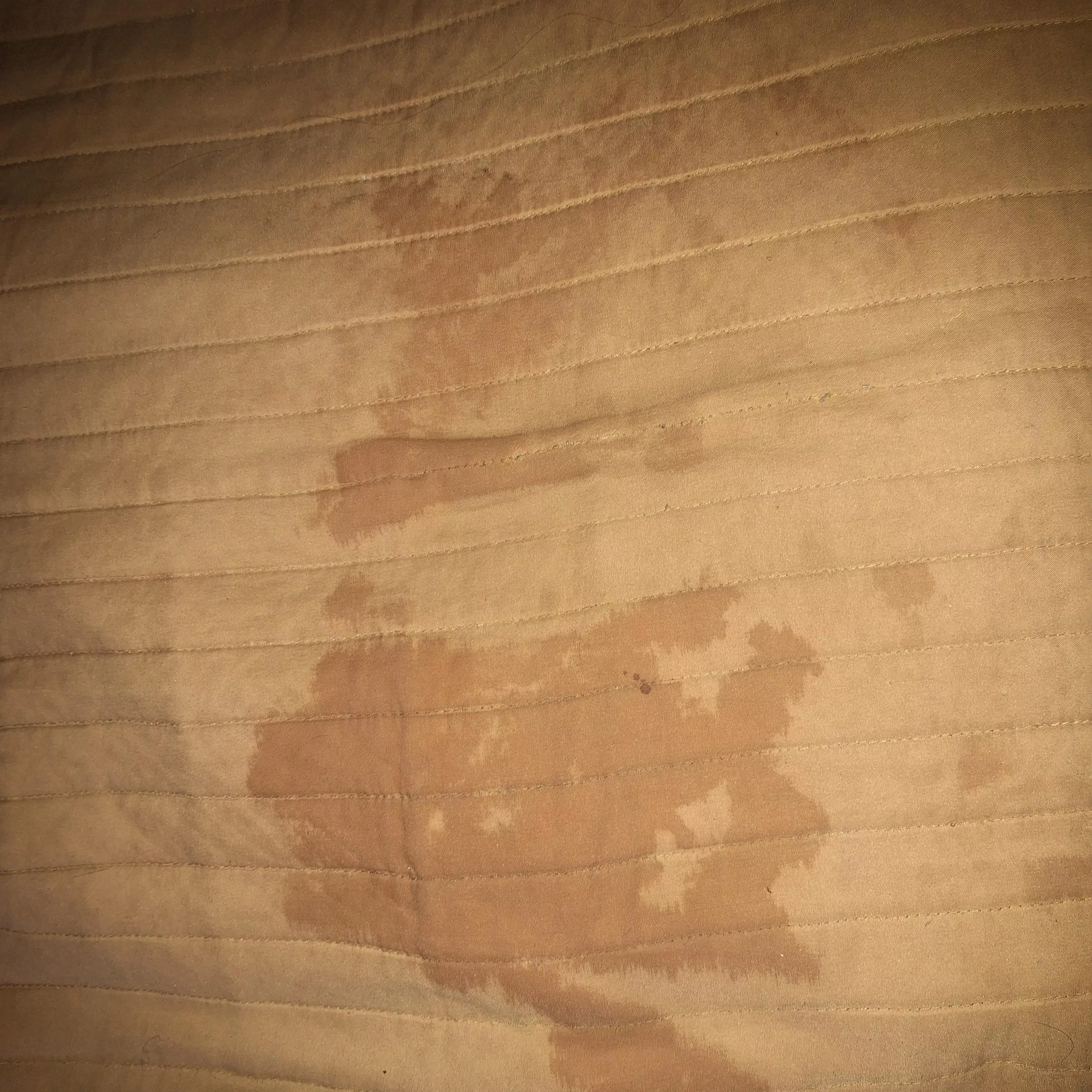 Had a sesh, ended in a wet mess 🫦💦 oops! Who wants to cum do a wash for me?! 😇 posted by MistyBlu420