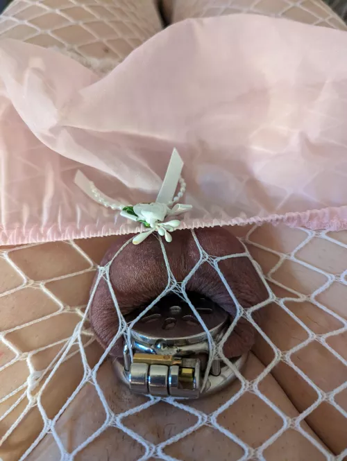 Love how well this cage fits 😍 by thisismynormal92