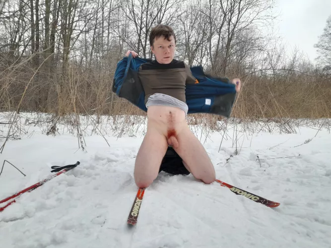 My red bush by tetatet85