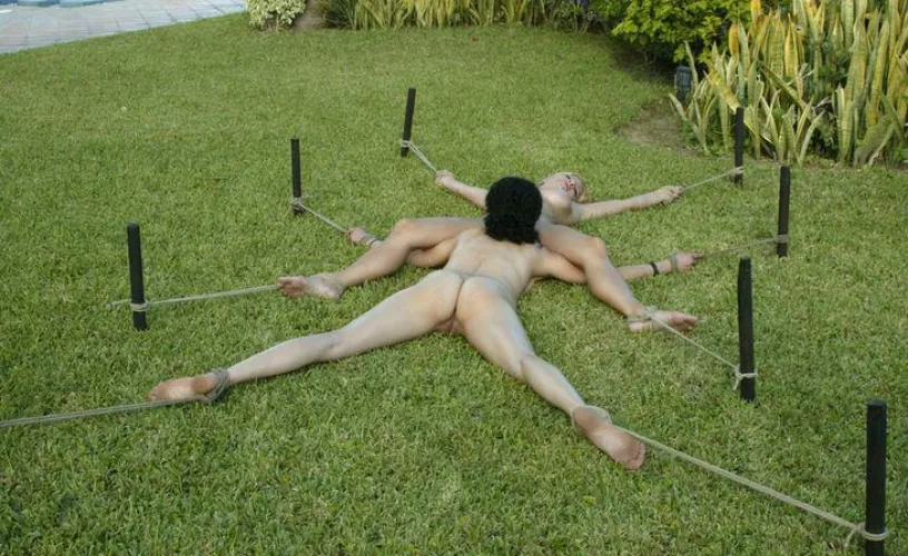 Now This Is Interesting by Comfortable-Egg1572