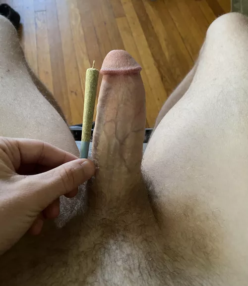 Fresh preroll, which goes in your [m]outh first? by BigDickinAround