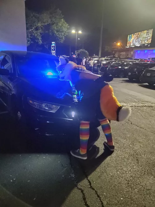 I got into a little trouble last night by Zboy745