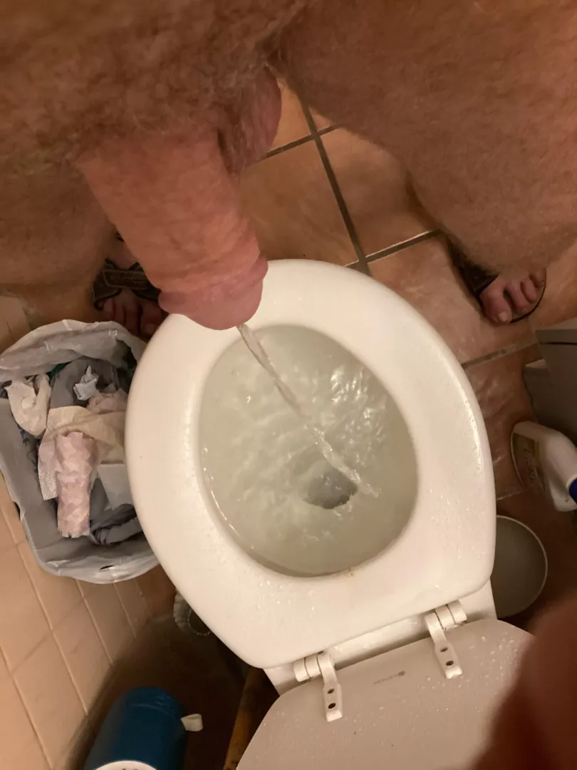 Pissing posted by Awaiting_Lobotomy