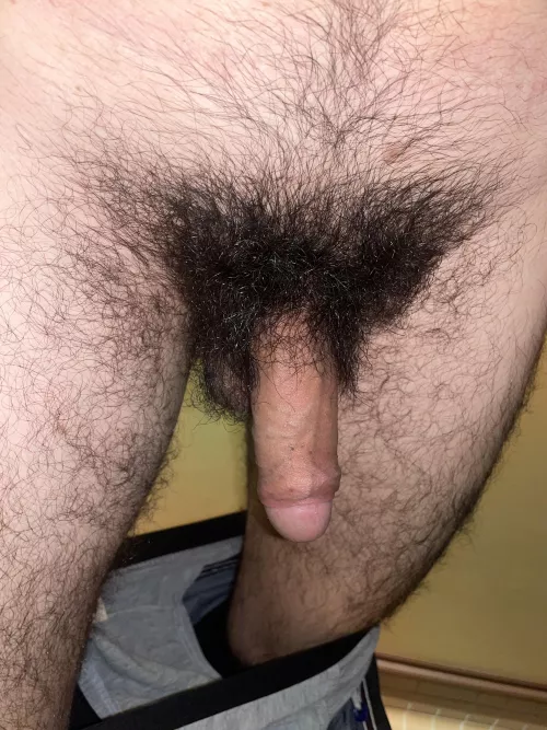 Semi hard by Low-Championship-783