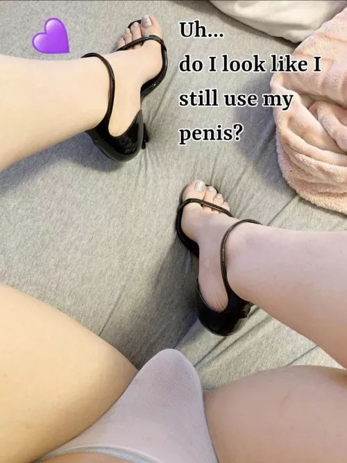 Uh… do I look like I still use my penis? Not OC by bdsmmsdb1