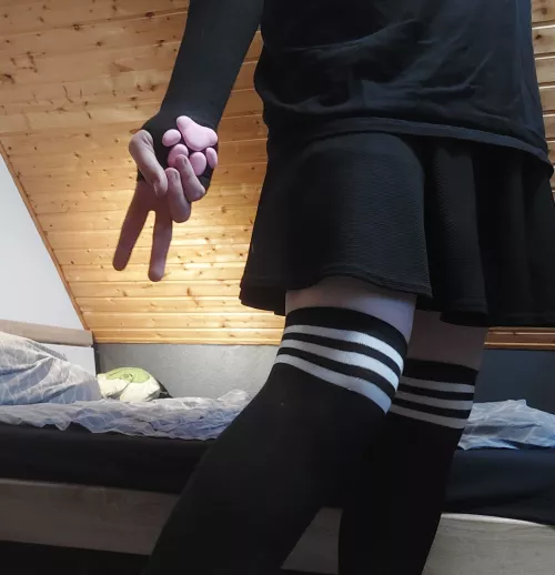 What's your favourite animal? :3 by Femboycat897