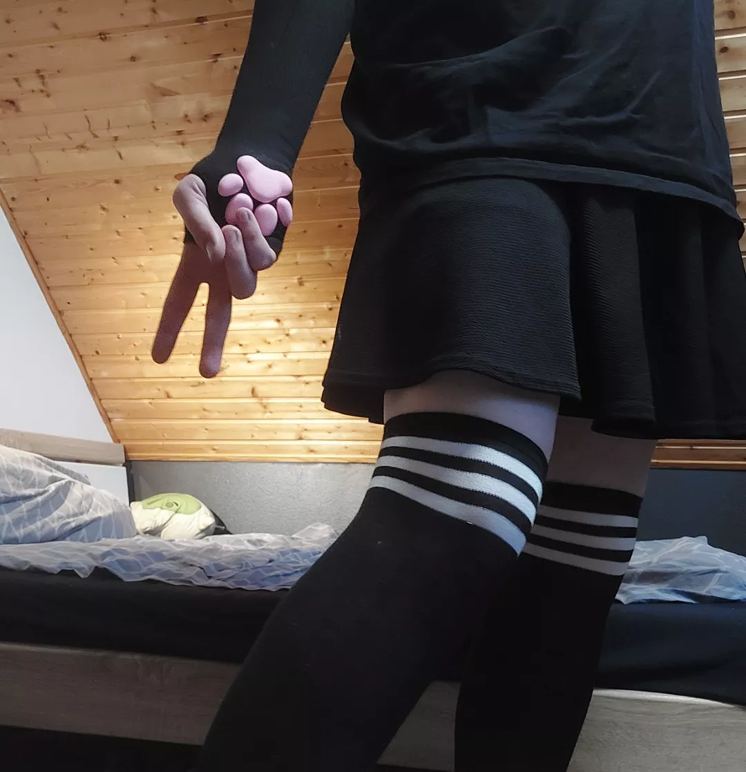 What's your favourite animal? :3 posted by Femboycat897