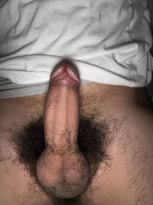 who’s trynna taste this cock by Prestigious-Mix-4382