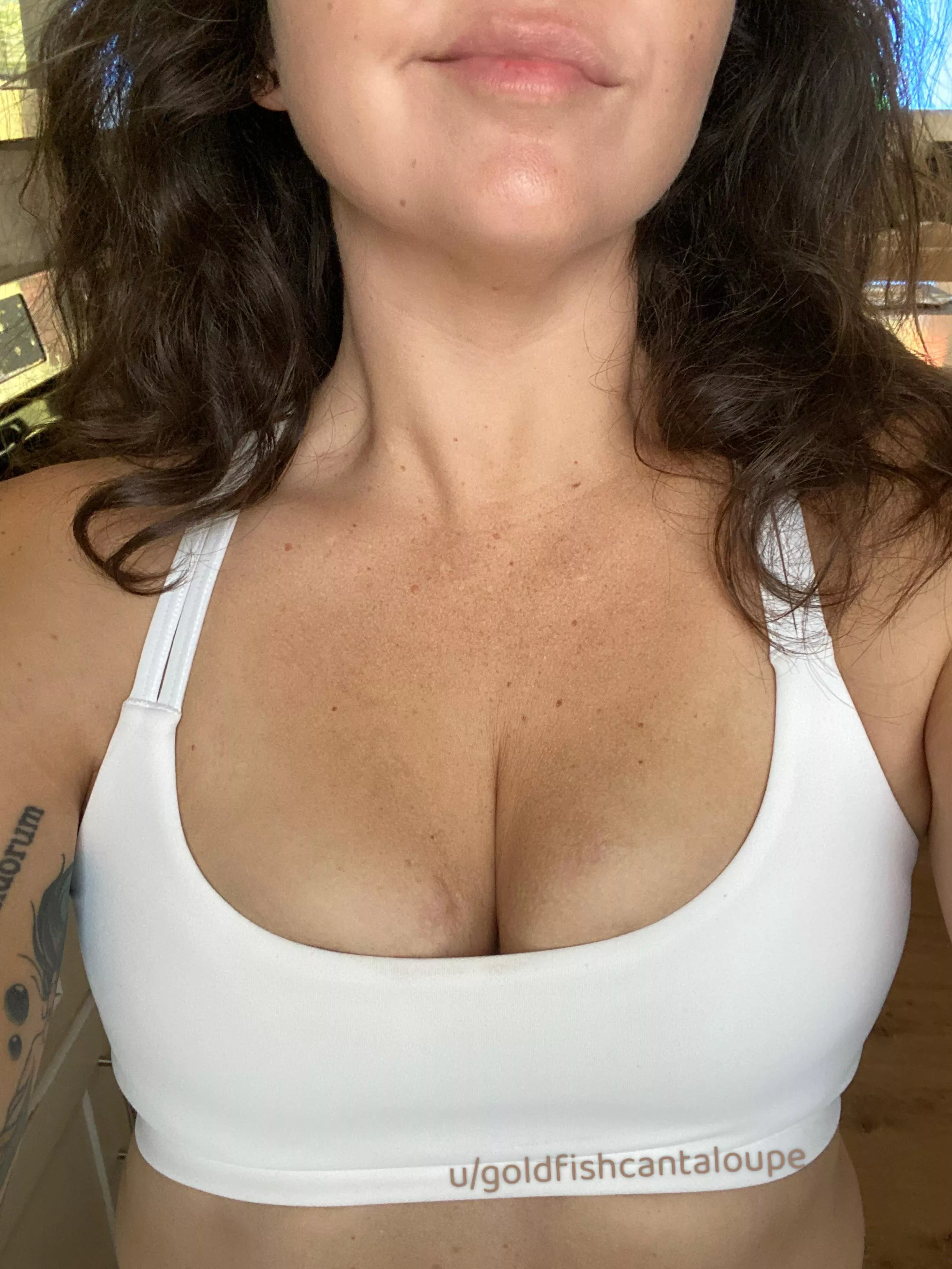 A Reddit friend suggested I post here! posted by goldfishcantaloupe