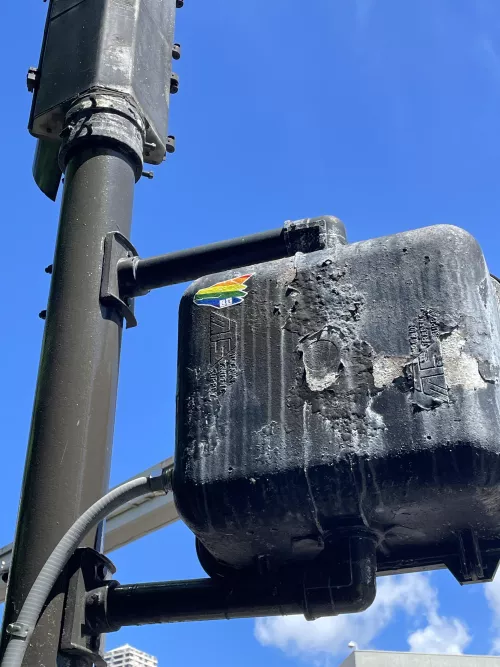 Finally saw one out in the wild lol by AWildFurryAppears