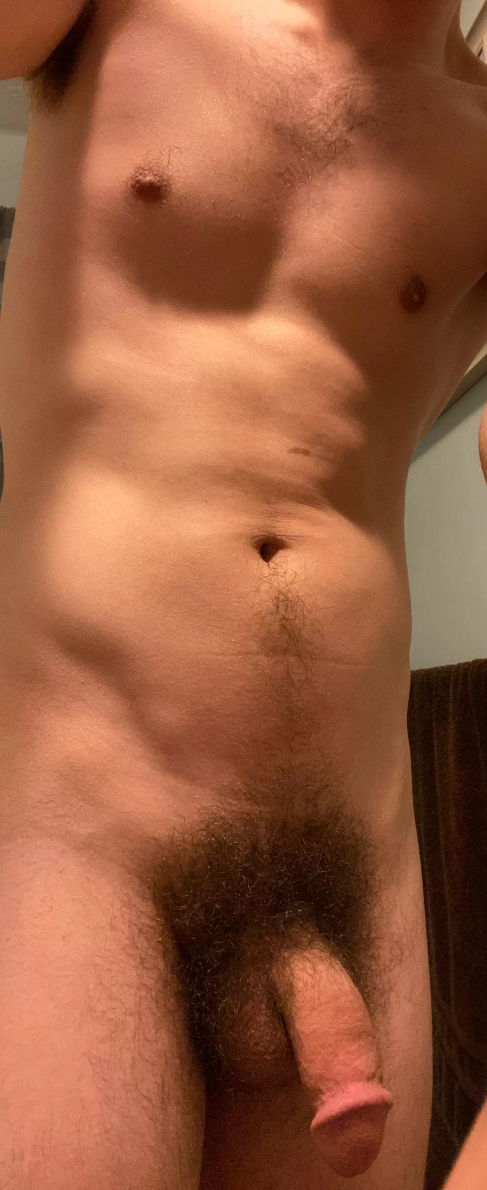 Haven’t posted in a while.. what’re your thoughts on my bush? posted by thomsbriefs87